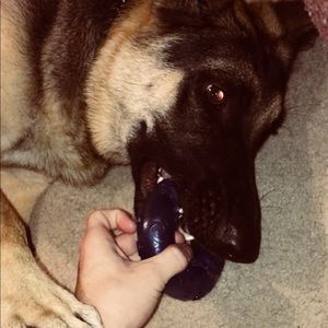 Meet your Posher, Cole